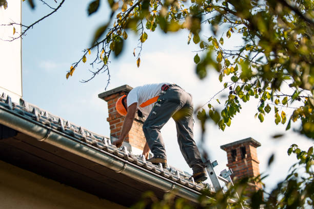 Best Roof Insulation Installation  in Oak Park Heights, MN