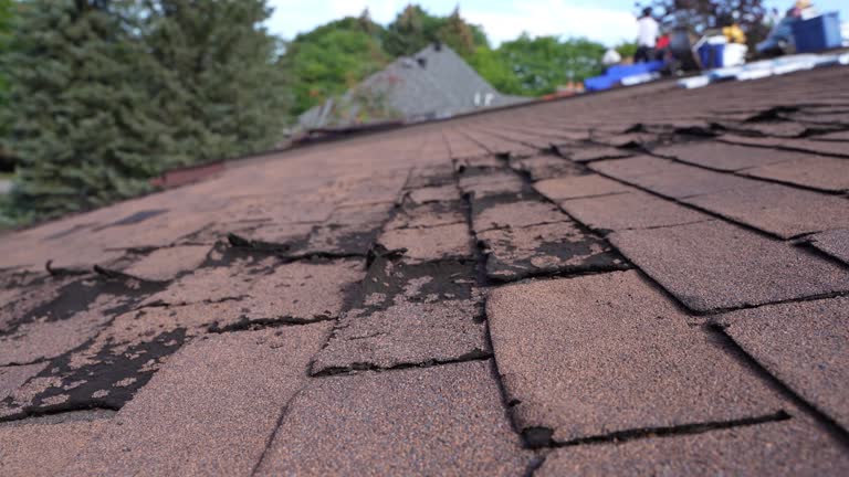 Best Commercial Roofing Services  in Oak Park Heights, MN
