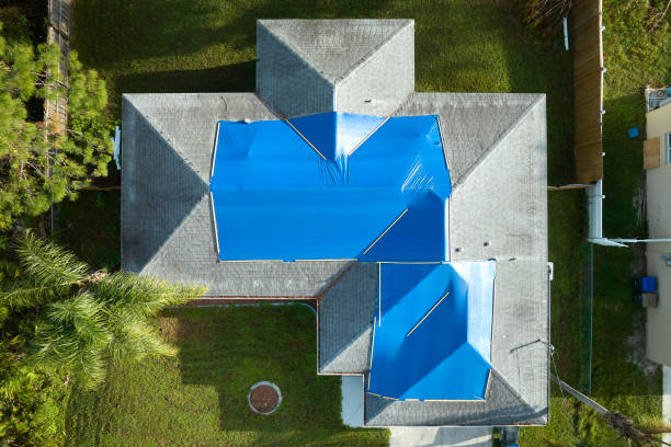 Best Asphalt Shingle Roofing  in Oak Park Heights, MN