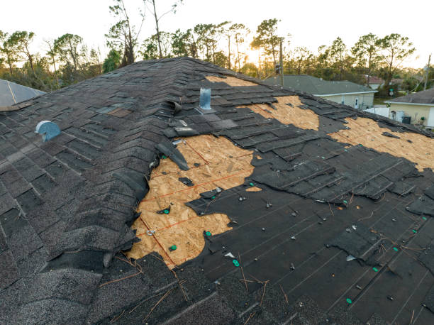 Best Sheet Metal Roofing  in Oak Park Heights, MN