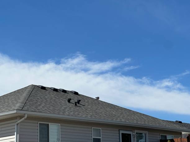 Best Chimney Flashing Repair  in Oak Park Heights, MN