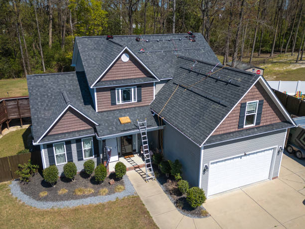 Best Roof Moss and Algae Removal  in Oak Park Heights, MN
