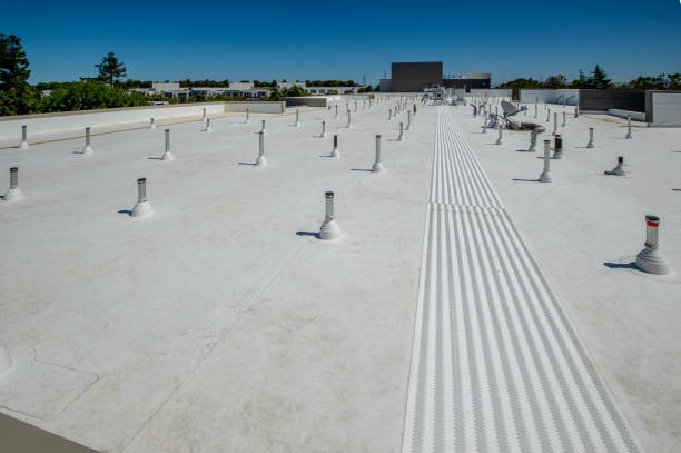 Best Roof Ventilation Installation  in Oak Park Heights, MN